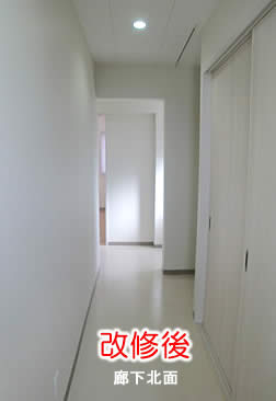 女性クリニックおがた廊下北面イメージ写真