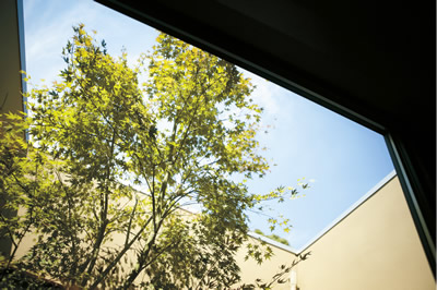 【住宅】次世代住宅ポイントの発行申請をしてみました。